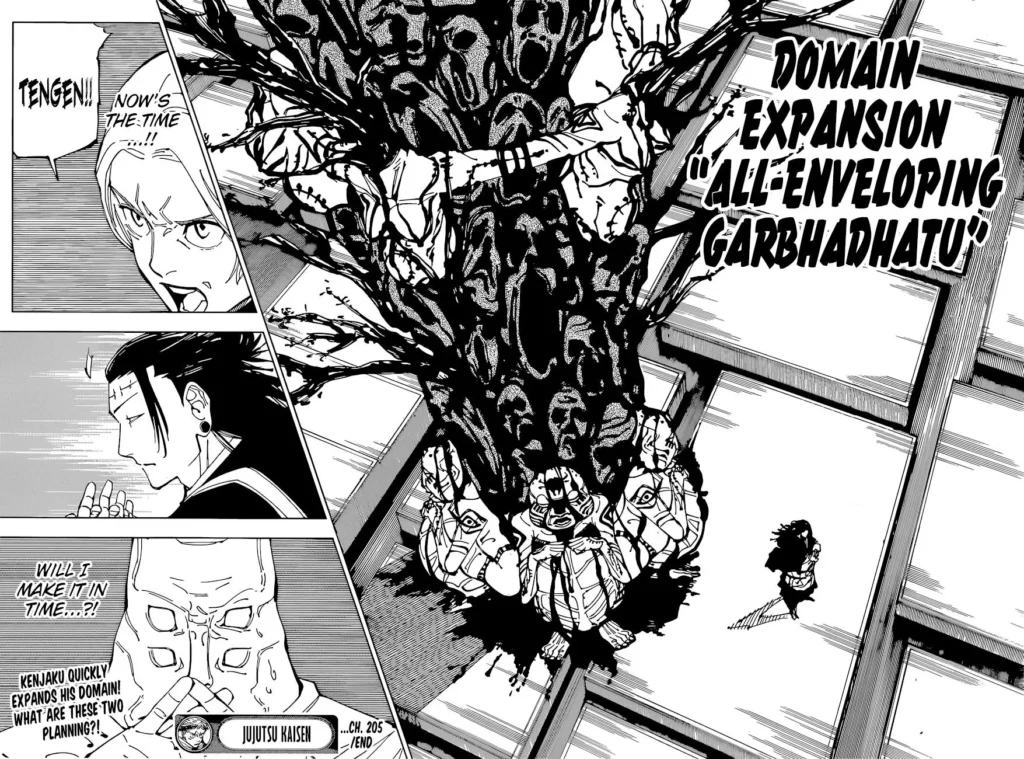 JJK Manga Chapter 205 16